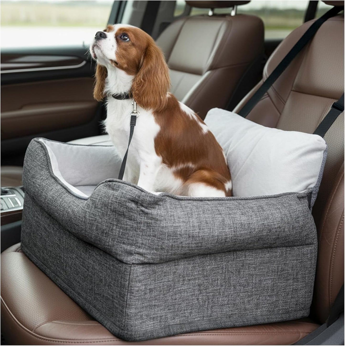 Dog Car Booster Seat for Small/Medium Dogs Under 30 lbs