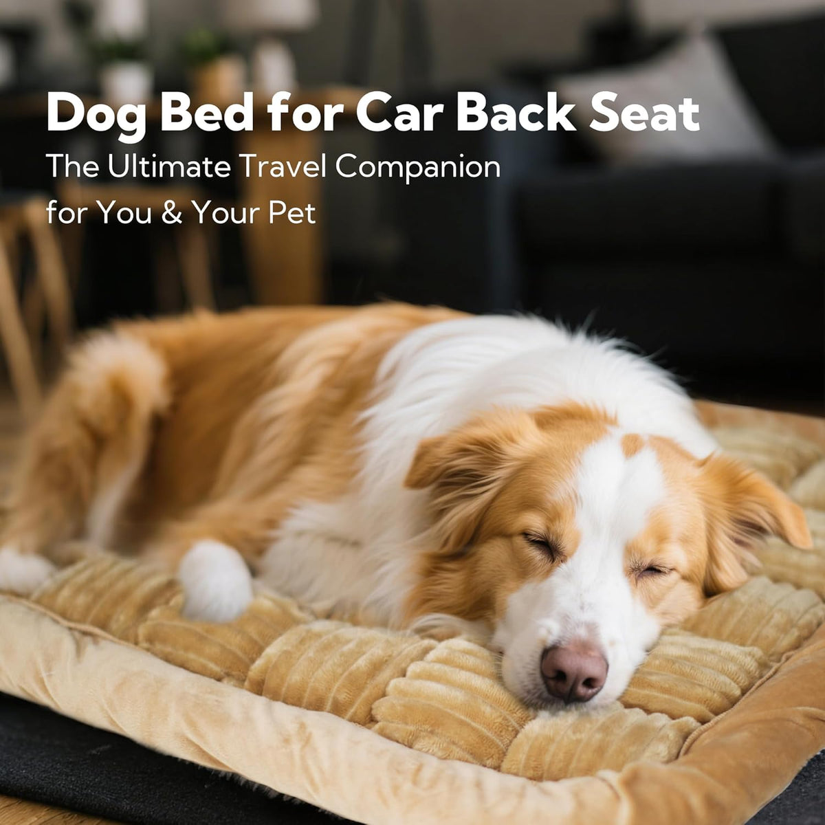 Dog Bed for Car Back Seat Soft Plush Backseat Pet Bed Mat