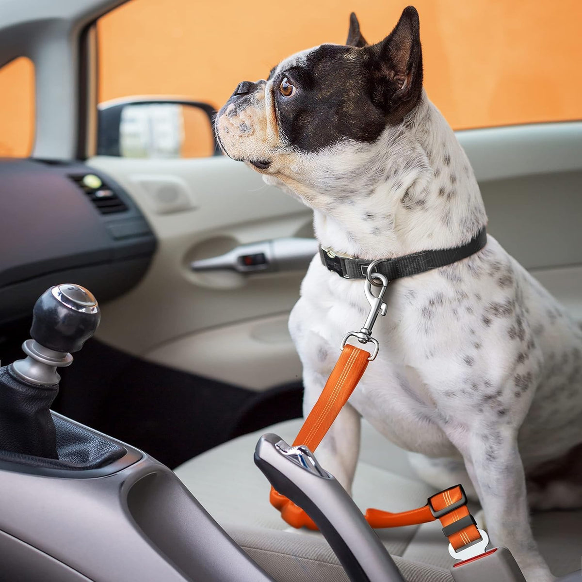 Adjustable Dog Car Harness | Seat Belt for Pets with Elastic Bungee Buffer | Essential Travel Accessory - Orange