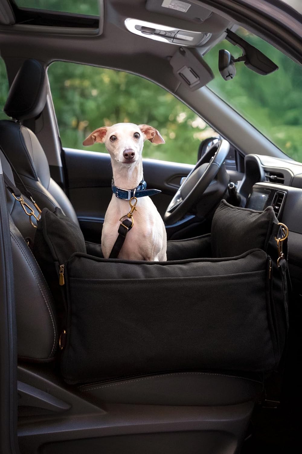 Dog Car Seat Carrier, Small Dog Car Seat for Small Medium