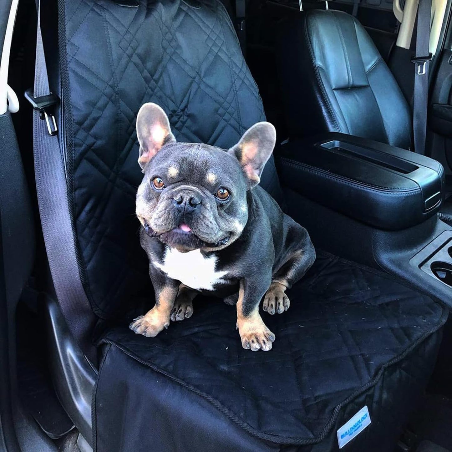 Bulldogology Front Car Seat Covers for Dogs - Heavy Duty