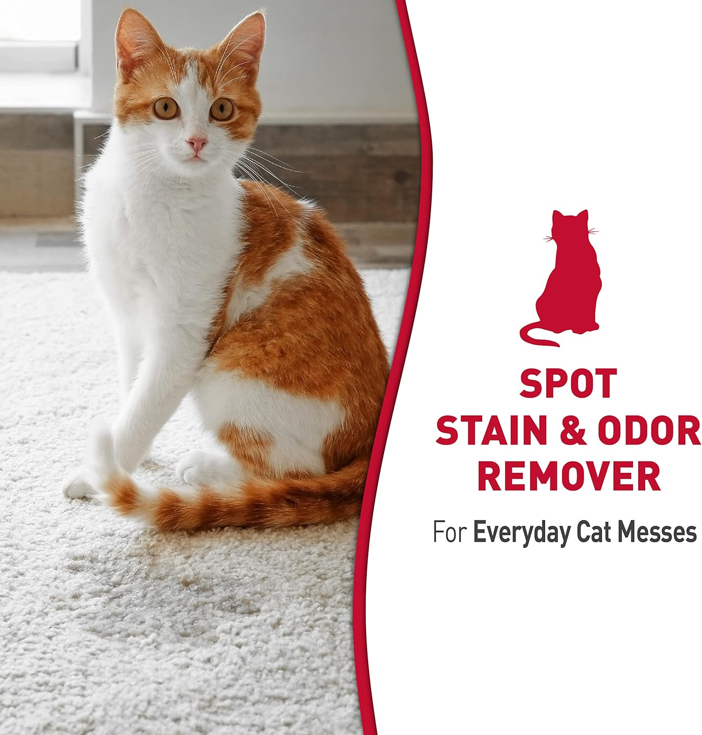 Stain and Odor Remover, Spot Stain and Pet Odor Eliminator