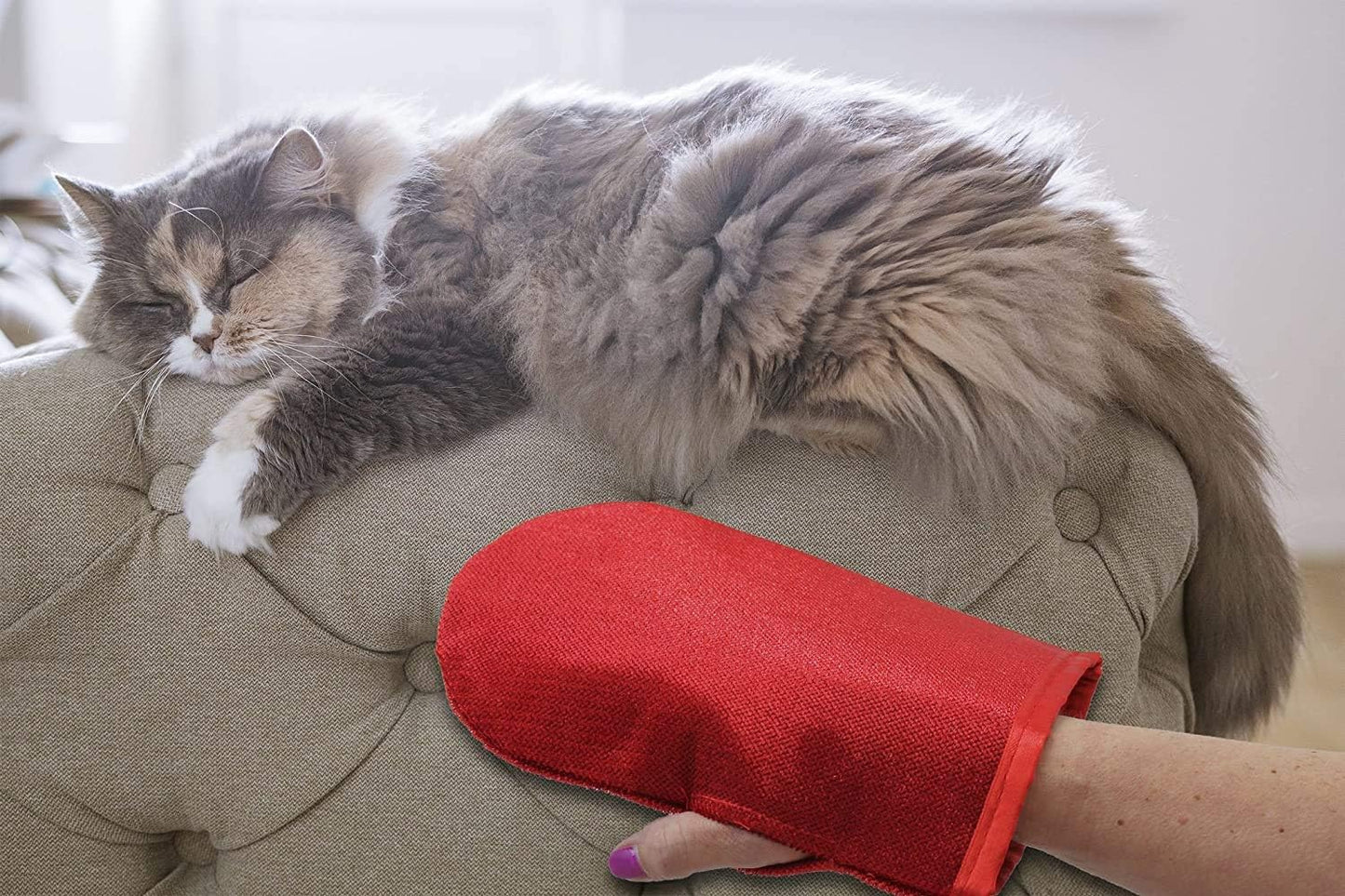 Pet Hair Remover Glove Pic-Up Mitt - 2 Pack