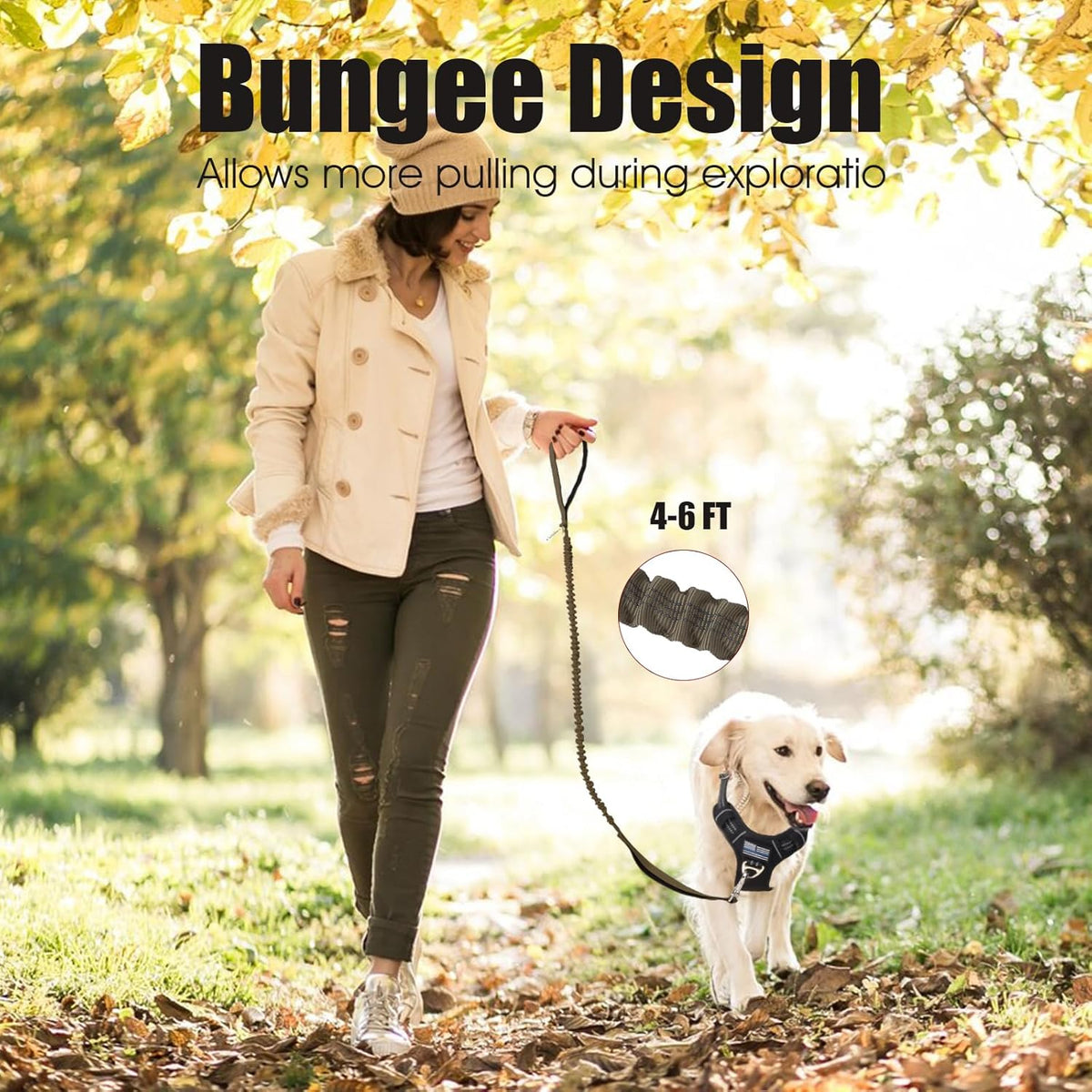 6Ft Dog Leash, Bungee Dog Leash with 2 Handles, Heavy Duty