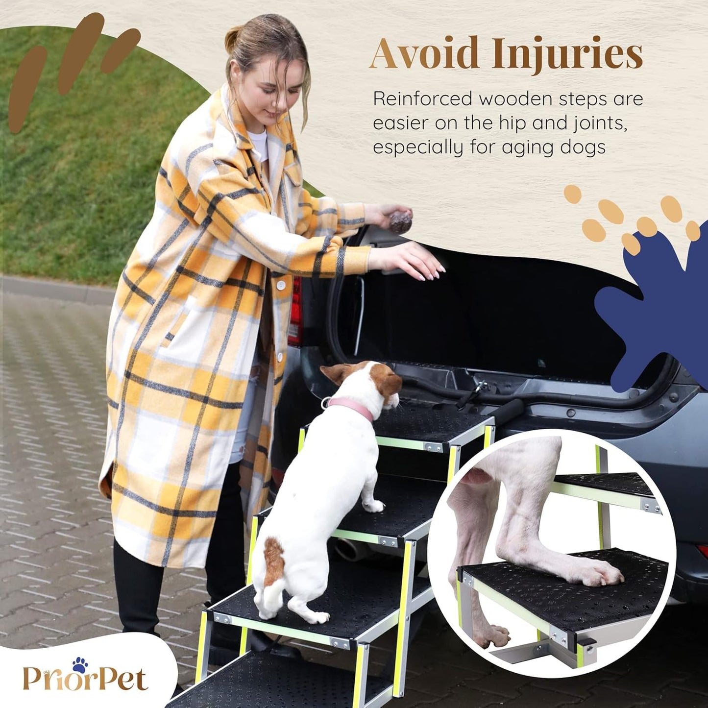 Dog stairs for large dogs - Glow in The Dark