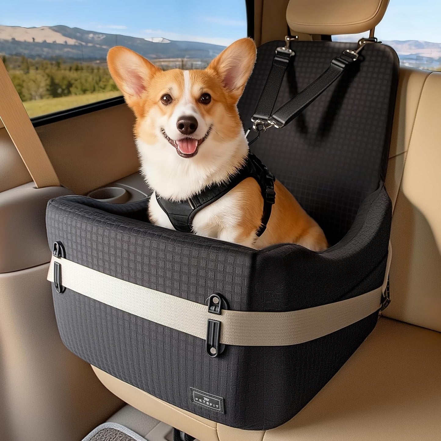 Dog Booster Car Seat for Small/Medium Dogs Up to 35 lbs –