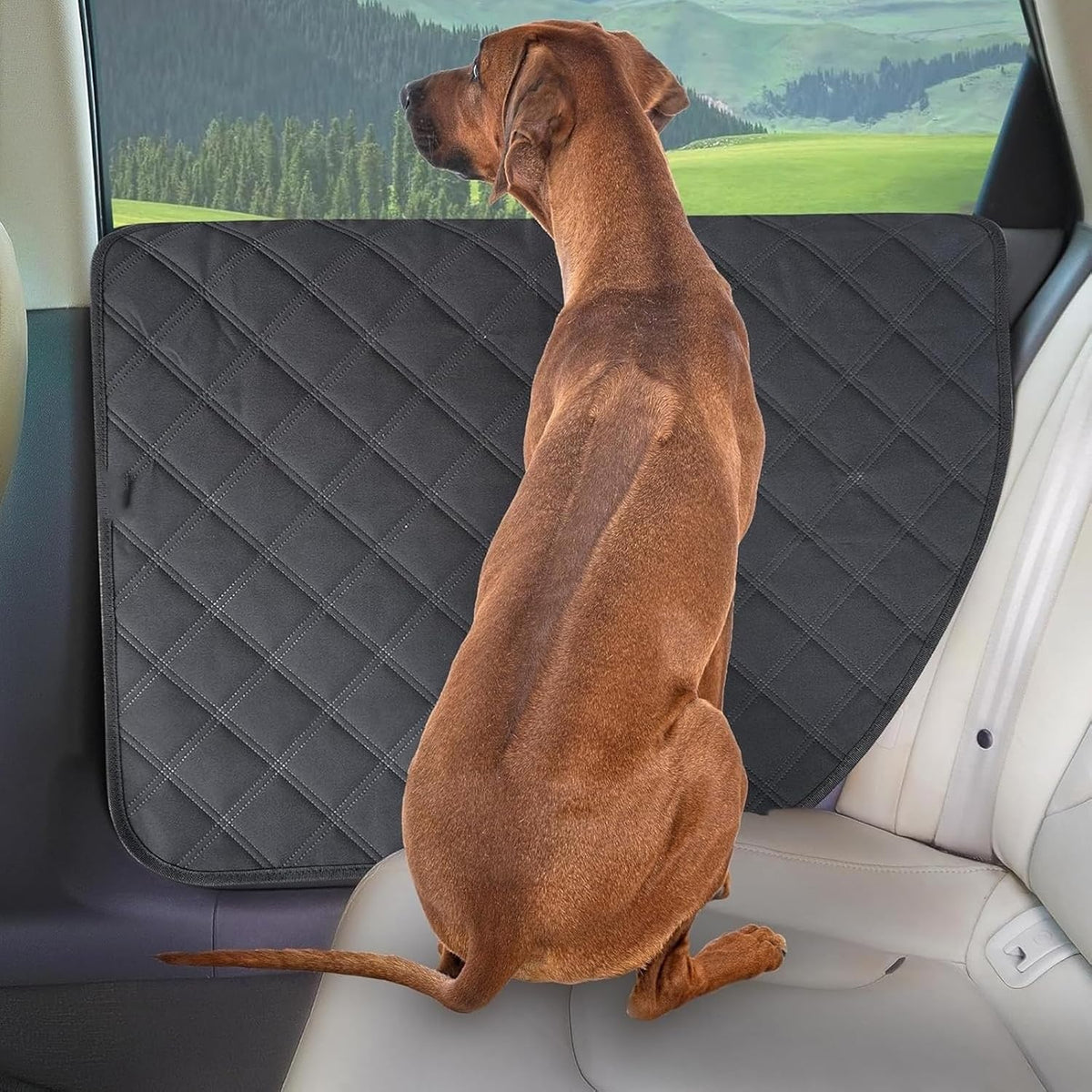 2Pcs Vehicle Door Guards for Quick Setups Protects Interior