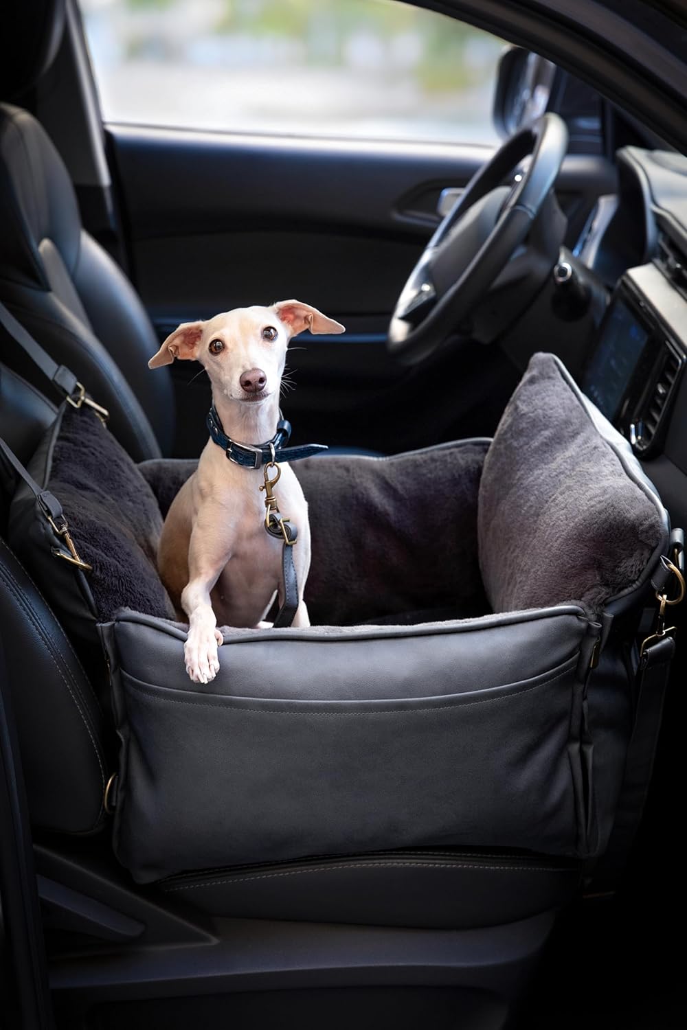 Dog Car Seat Carrier, Small Dog Car Seat for Small Medium