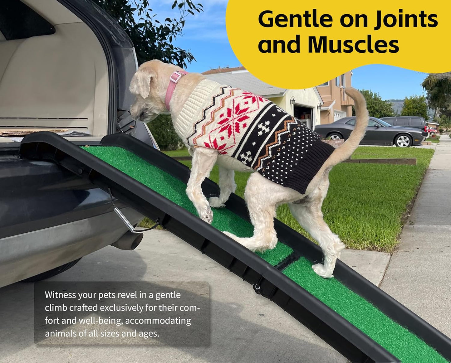PawStep 50894 Pet Ramp – Foldable Portable Dog Ramp with
