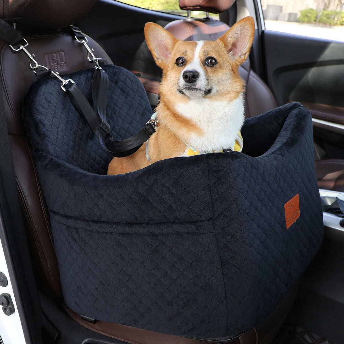 Dog Car Seats-Memory Sponge and Velvet Pet Booster Car