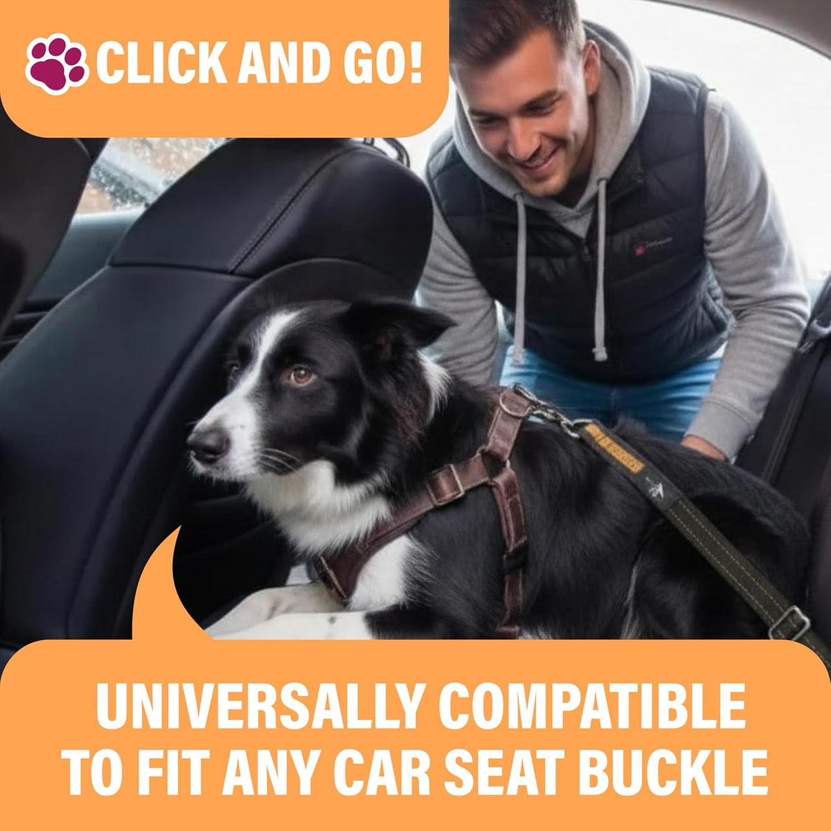 Orange Car Seat Belt for Dogs, Attaches to Harness &