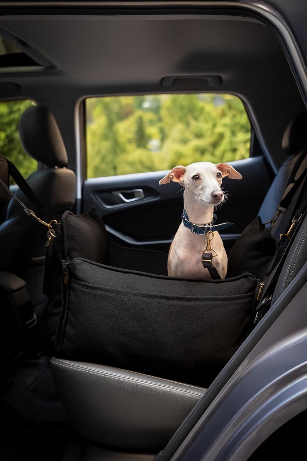 NOAH & PAW Small Dog Car Seat for Small Medium Pets with Harness Clip, 4X Safety Feature, Washable, Waterproof Dog Seat for Car, Orthopedic Foam Wrapped with Plush, Canvas Material
