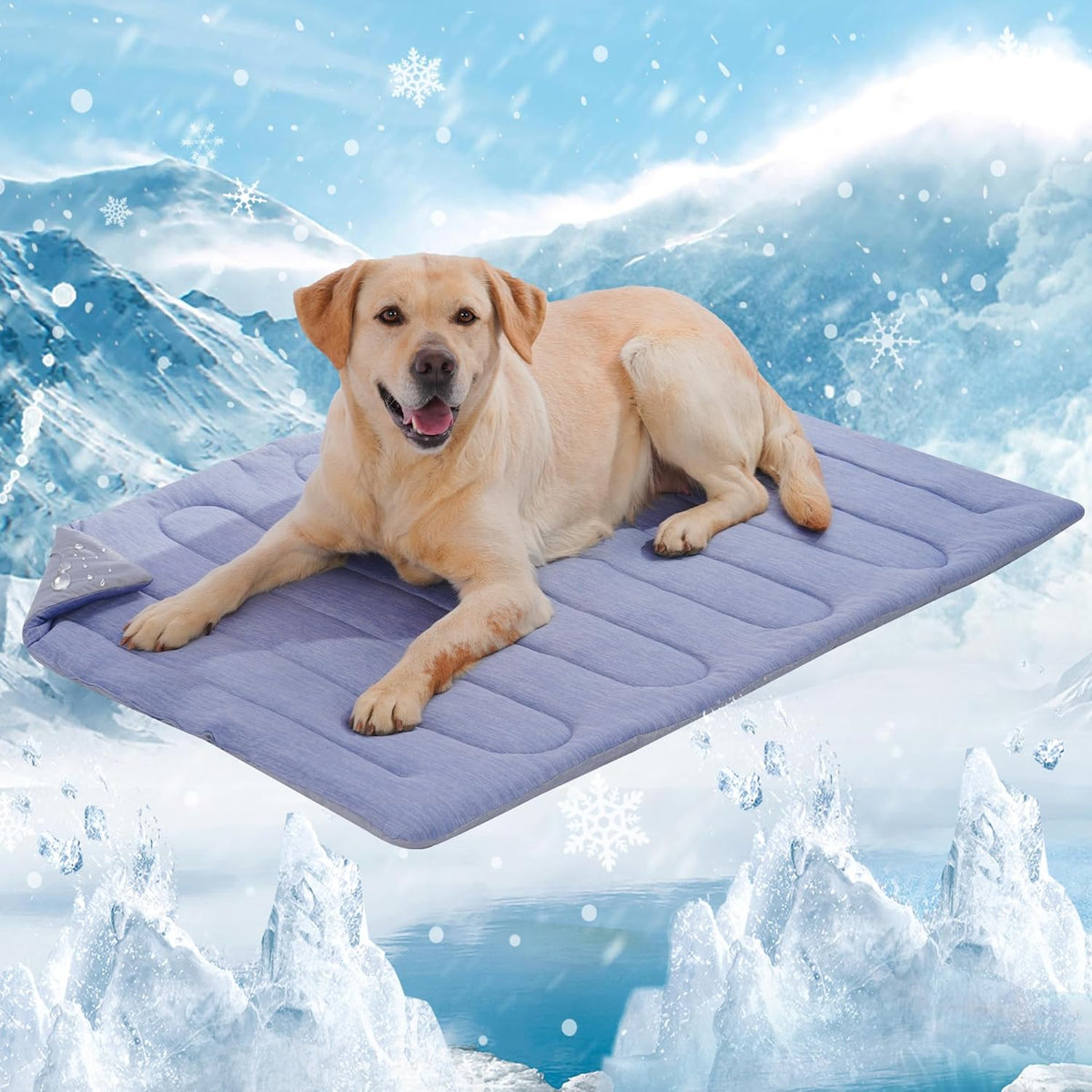 Dog Cooling Mat, No Need to Freeze Or Refrigerate This Cool