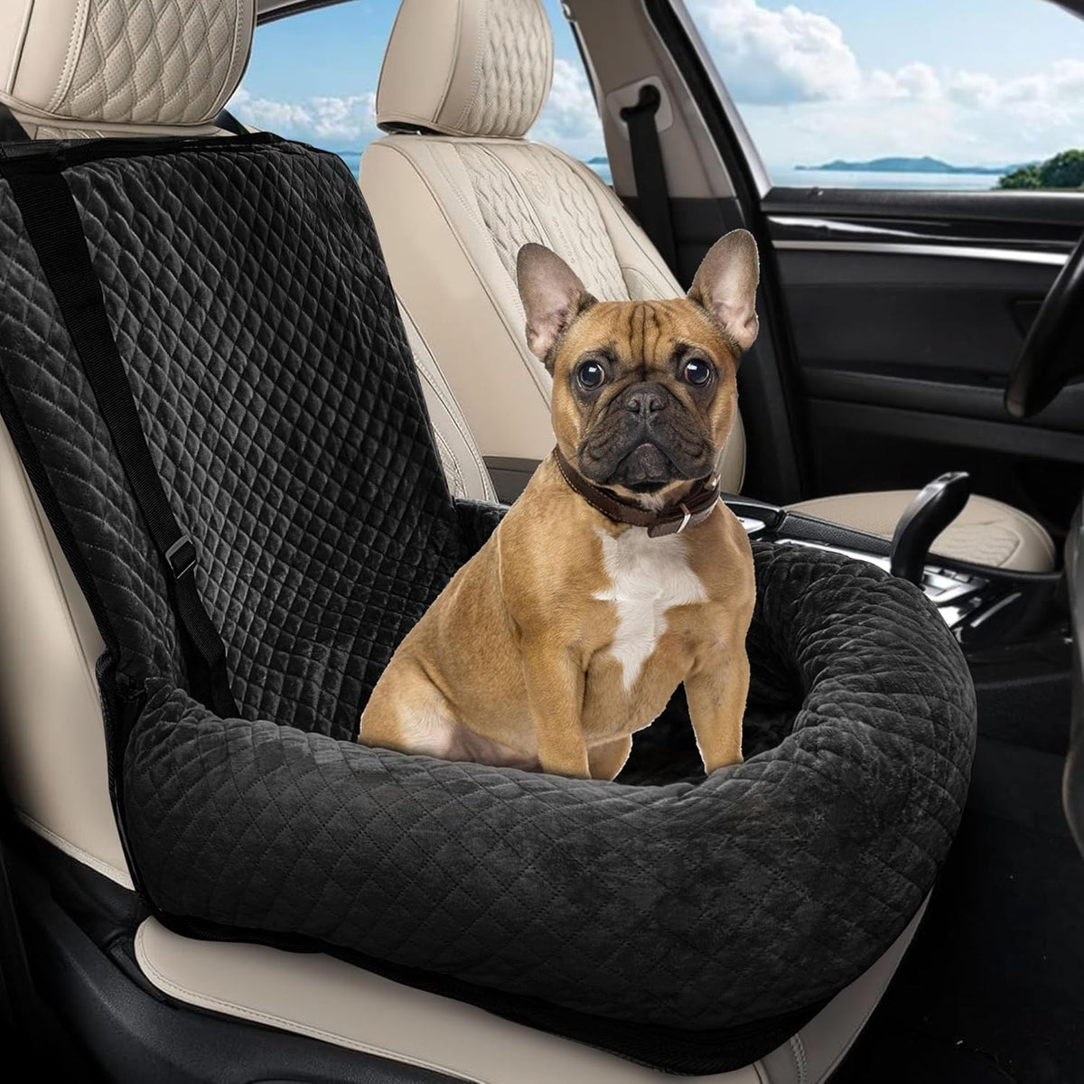 Dog Car Seat for Small/Medium Dogs,Dog Car Bed Washable Pet
