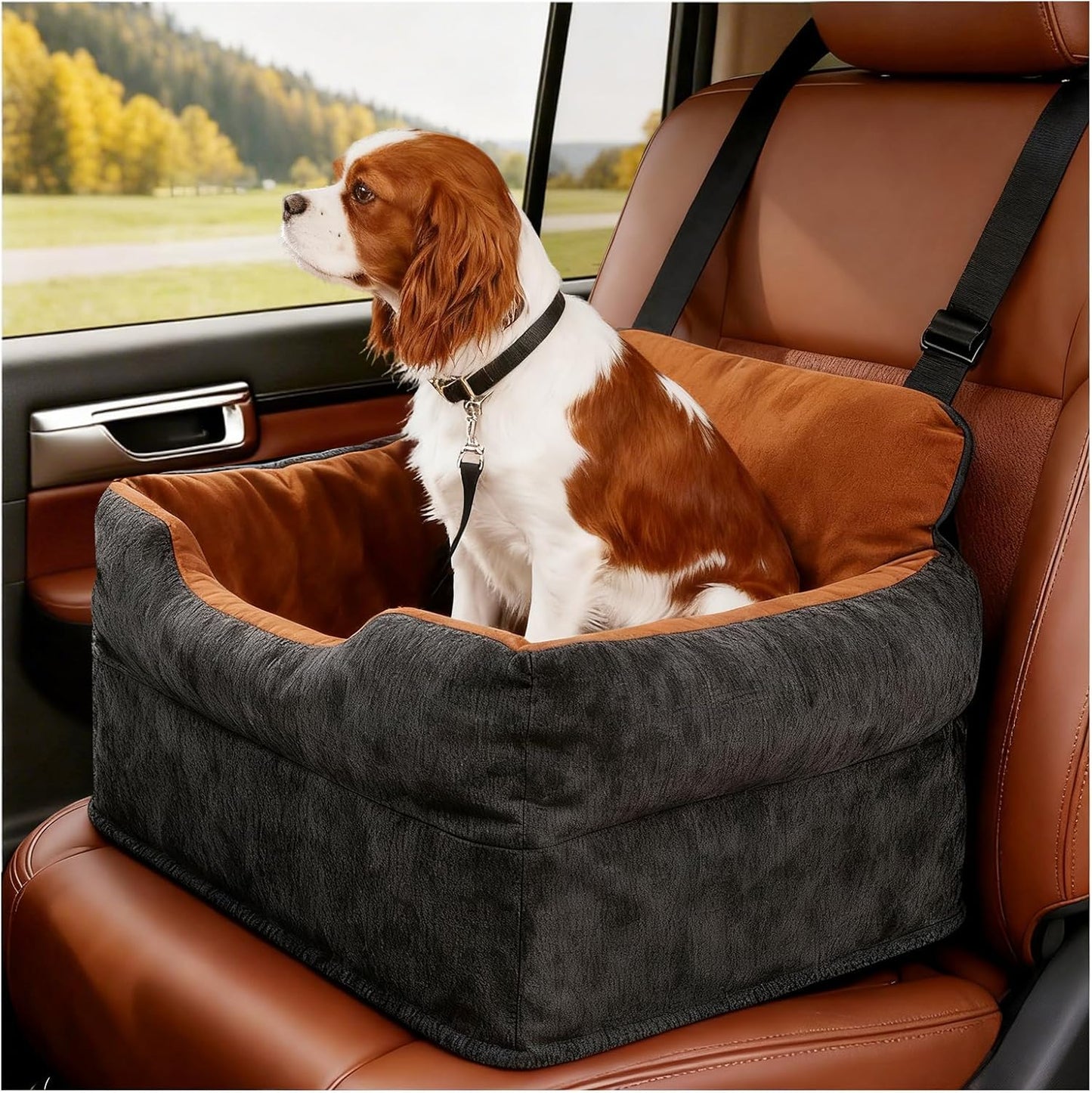 Dog Car Booster Seat for Small/Medium Dogs Under 30 lbs
