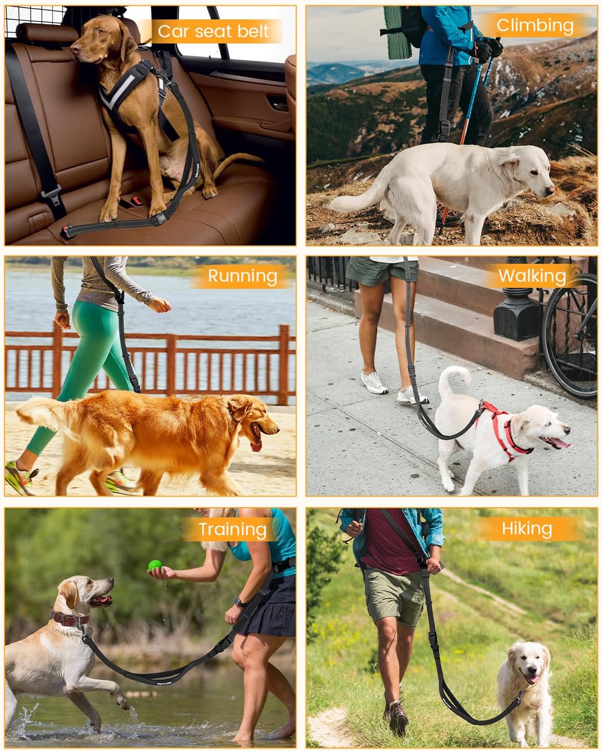 Hands Free Dog Leash, Pet Car Seatbelt, 2-in-1