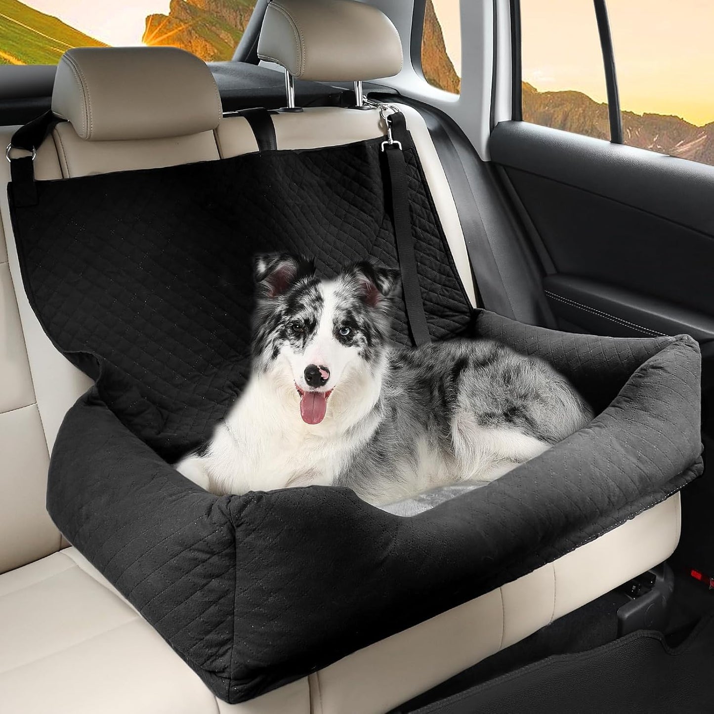 Dog Car Seat for Medium Large, Safe and Comfortable Dog Car