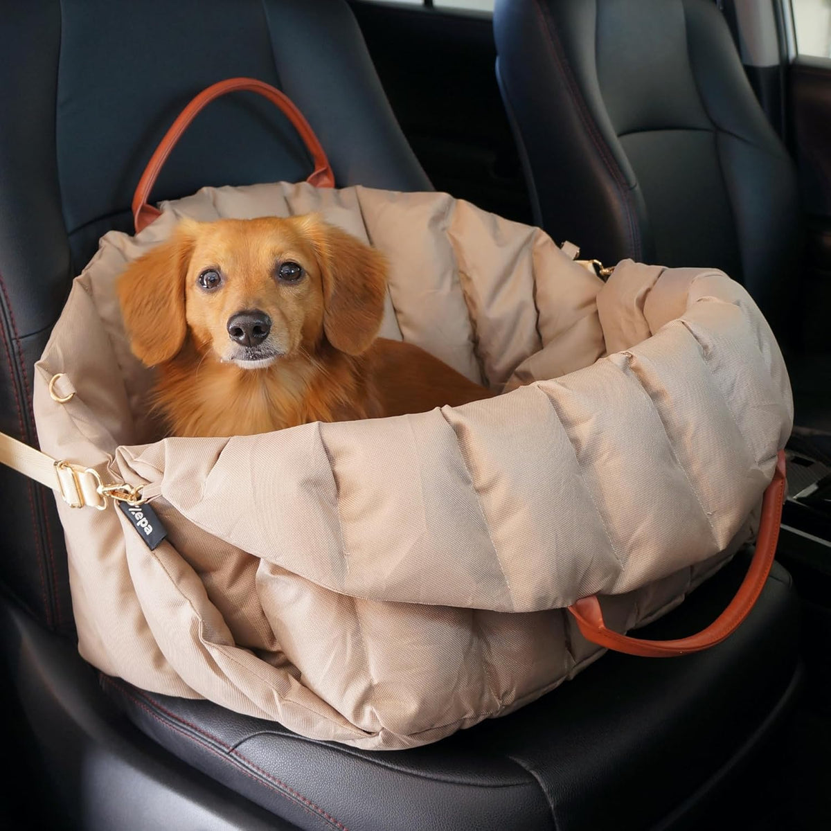 Dog Car seat for Small Dogs, Dog Carrier for Small Dogs