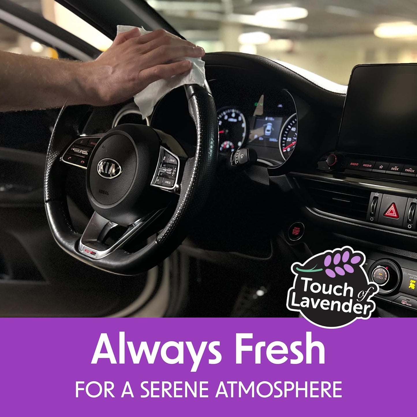 Auto Interior Car Cleaning Wipes - Plant Based Car Wipes