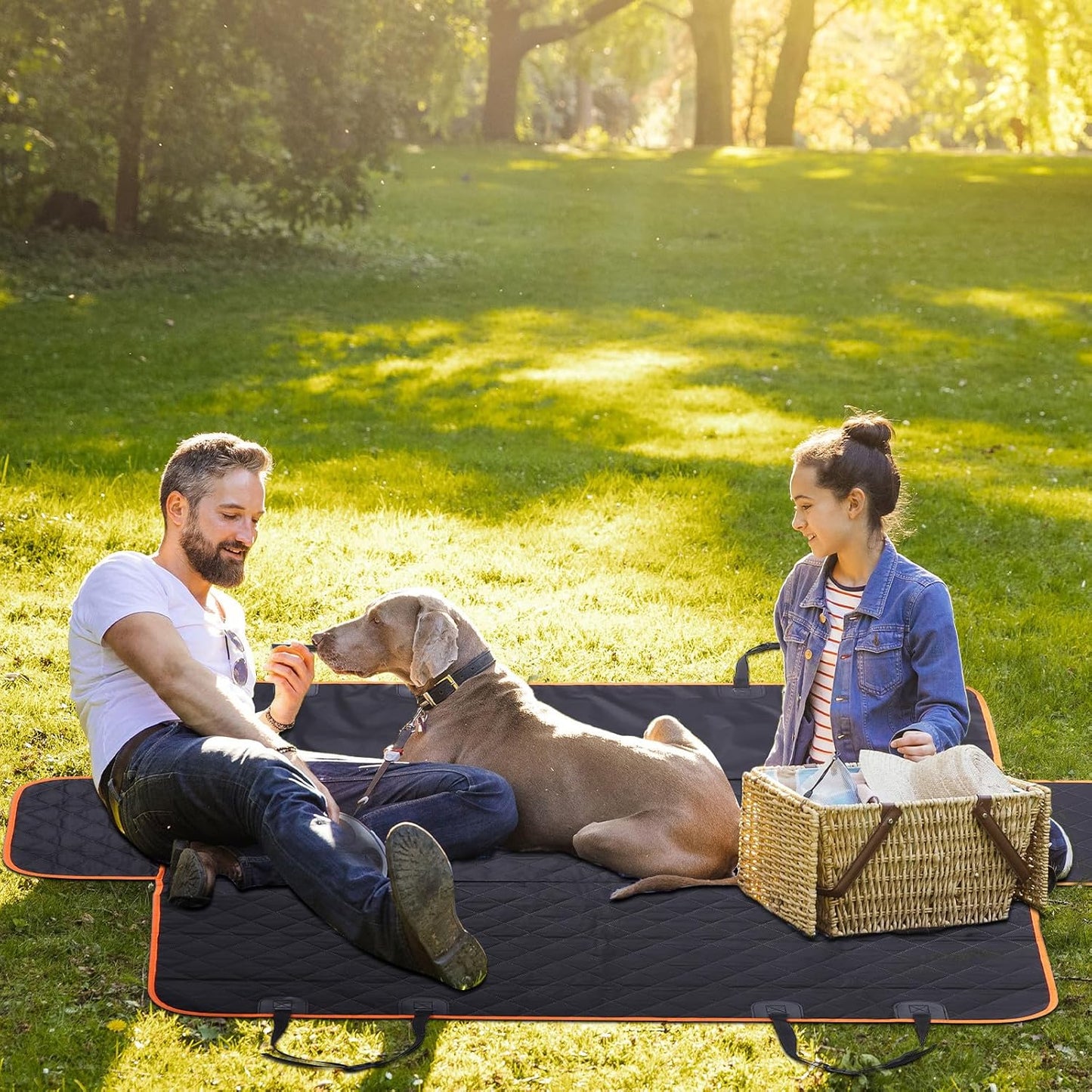 Pet Car Seat Cover and Dog Car Hammock Waterproof Backseat