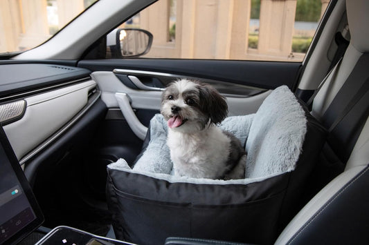 Elevated Dog Car Seat for Small Dogs, Booster Seat with