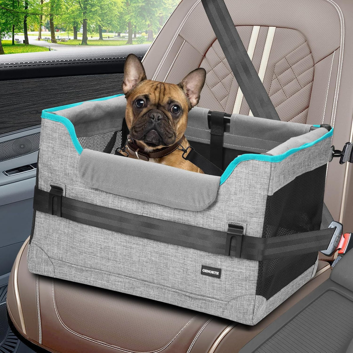 Dog Car Seats for Small Dogs, Pet Booster Seat Under 20