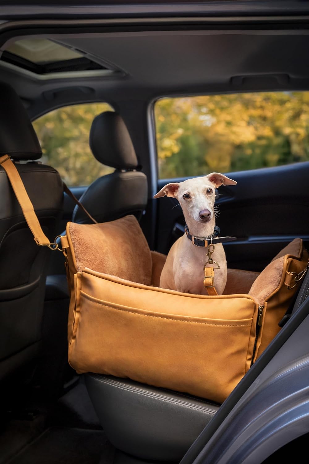 Dog Car Seat Carrier, Small Dog Car Seat for Small Medium