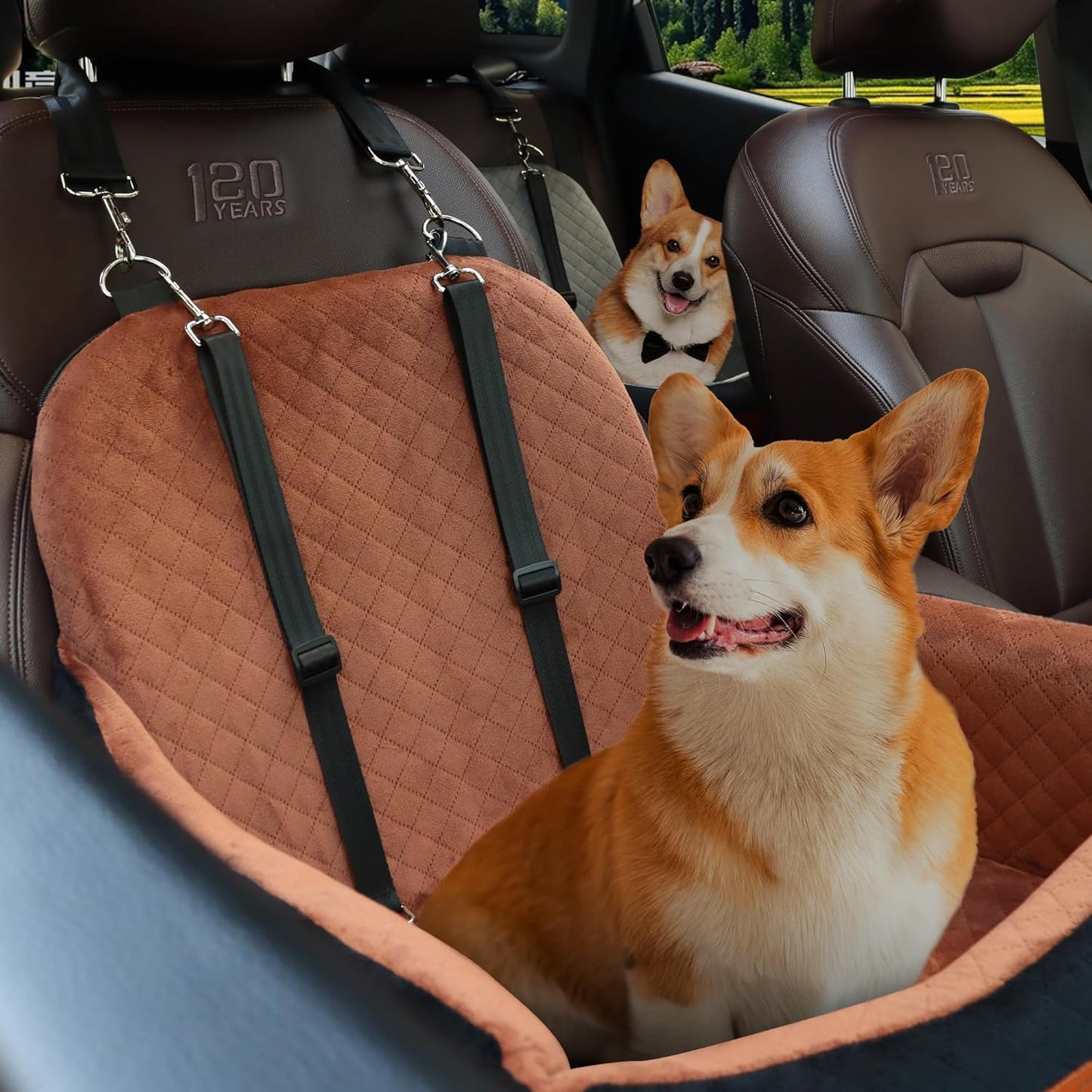 Car Dog Seat,Pet Booster Carseats for Dogs up to 25lbs,Safe