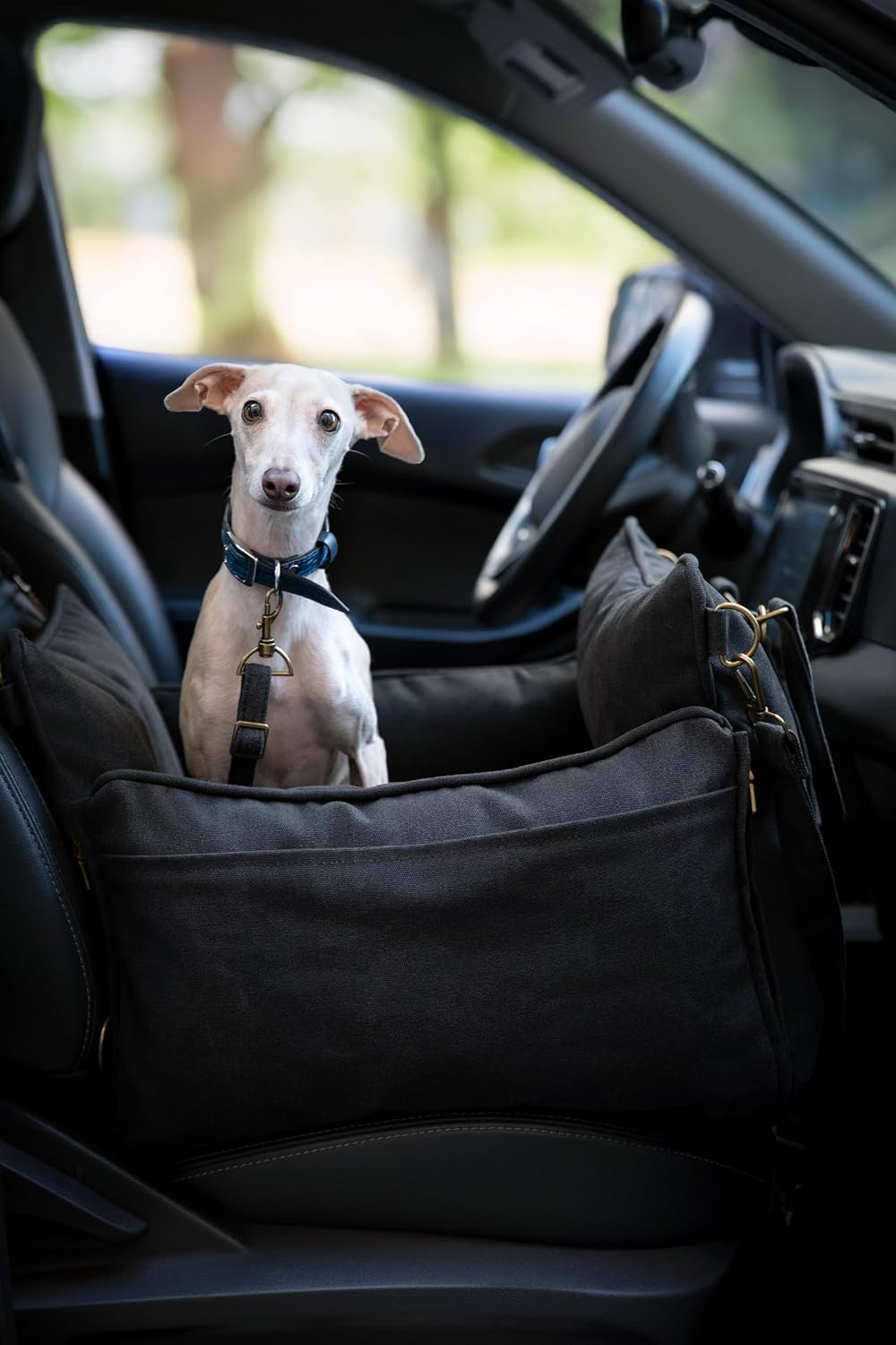 NOAH & PAW Small Dog Car Seat for Small Medium Pets with Harness Clip, 4X Safety Feature, Washable, Waterproof Dog Seat for Car, Orthopedic Foam Wrapped with Plush, Canvas Material