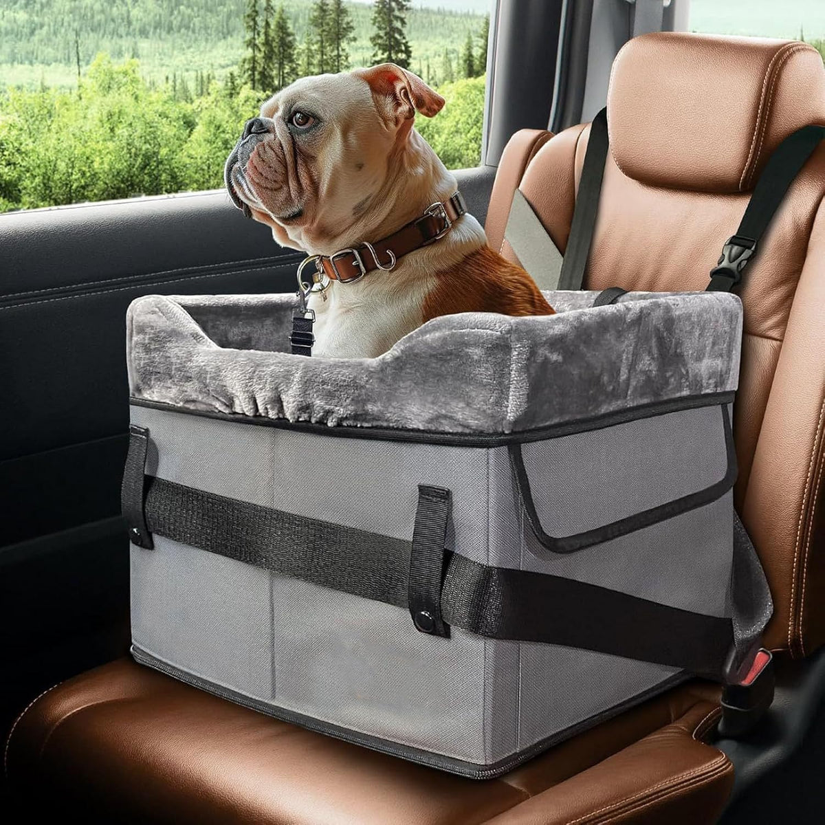 Dog Car Seat for Small Dogs, Portable Dog Booster Seat with