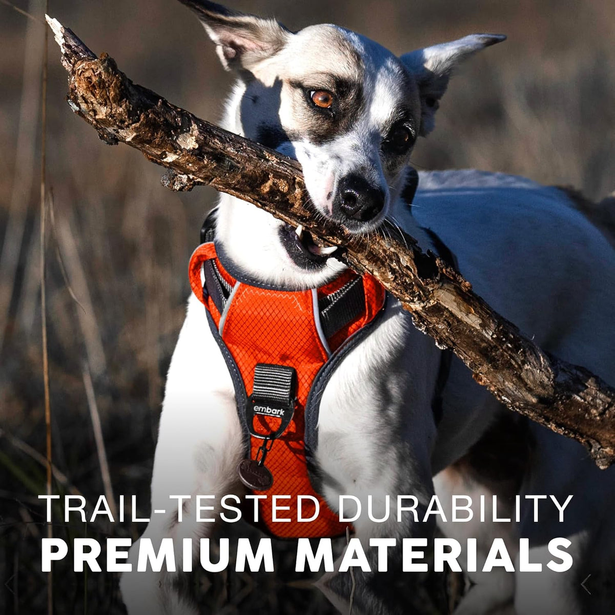Embark Adventure No-Pull Medium Dog Harness – Reflective