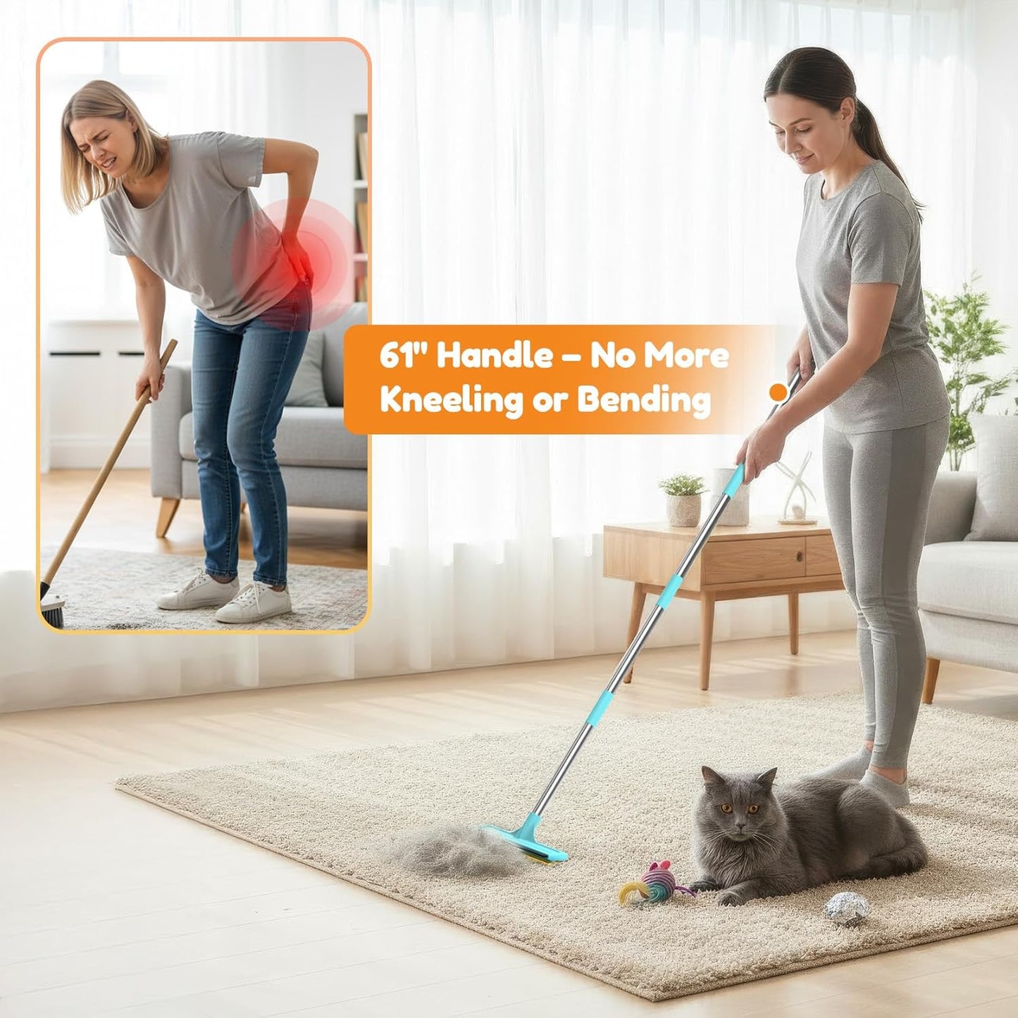 3 In 1 Carpet Rake for Pet Hair Removal Tool with Long &