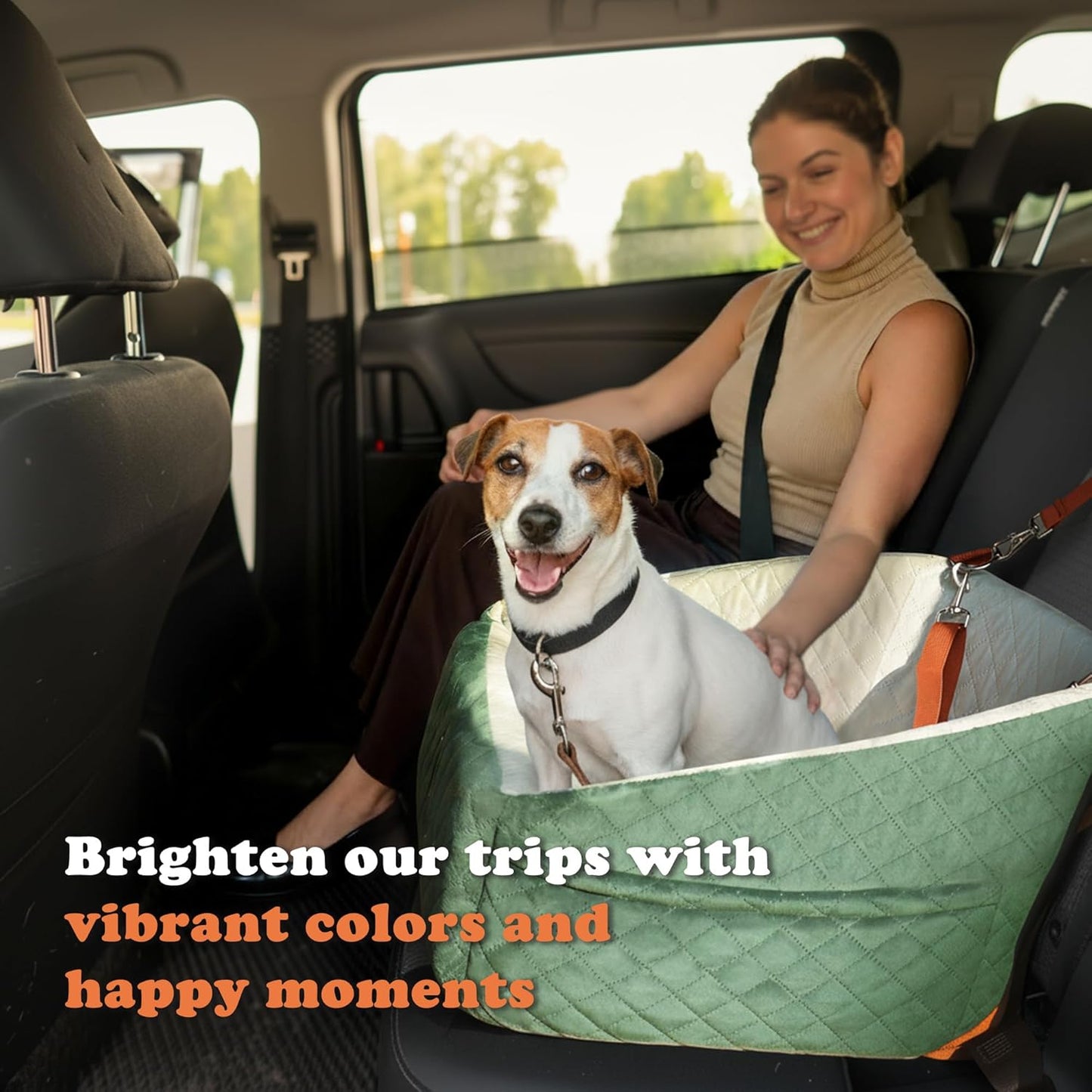 Dog Car Seat for Small & Medium Dogs - Crash-Protective