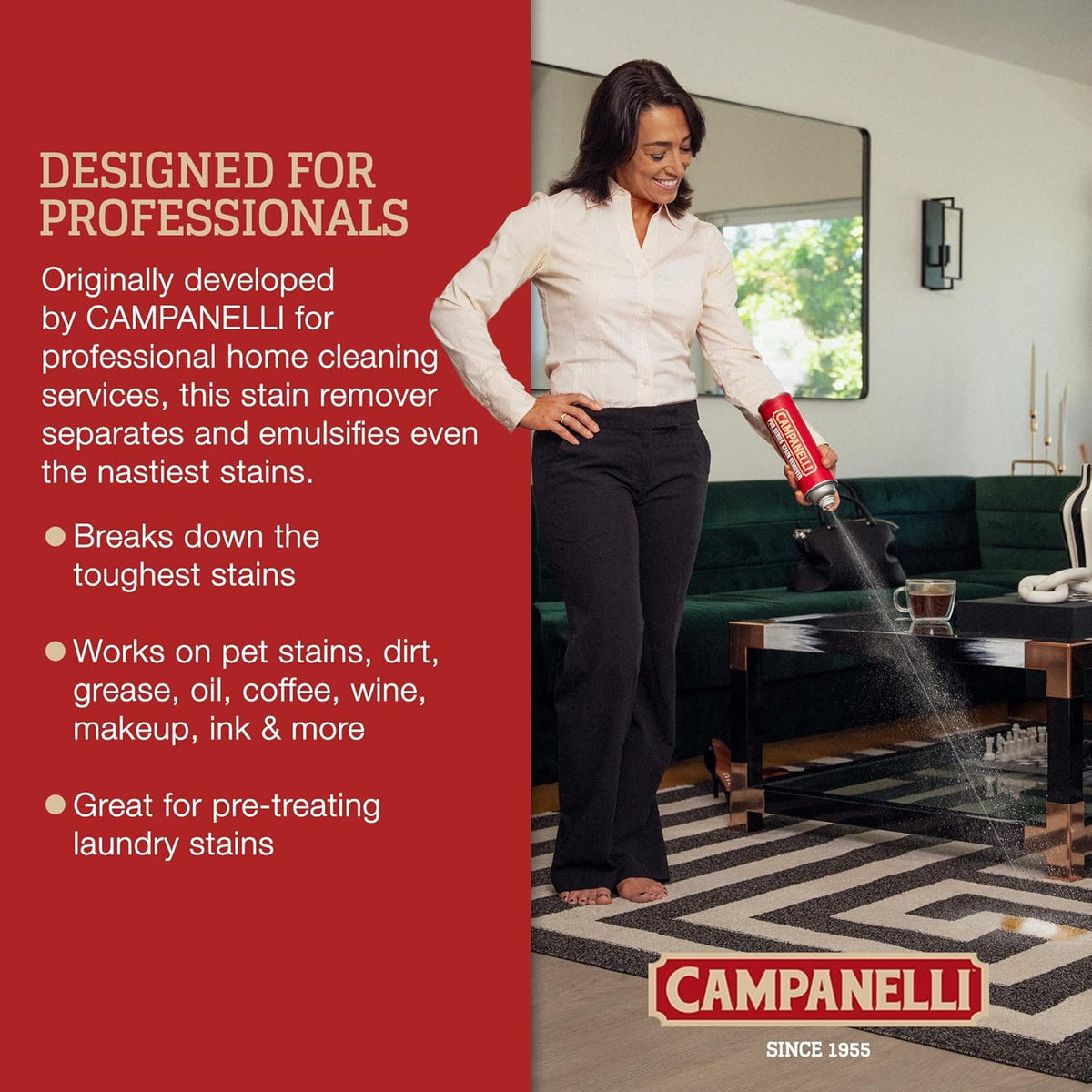 Campanelli Pro Series Stain Remover Point & Spray Carpet &