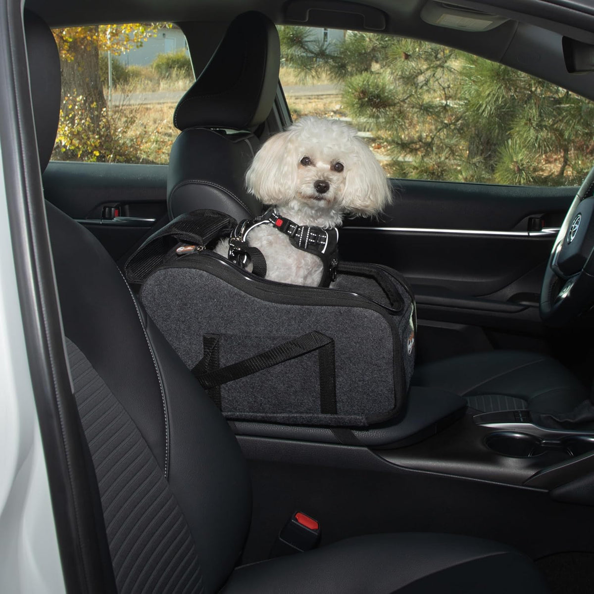 Center Console Dog Car Seat for Small Dogs & Cats, Secure