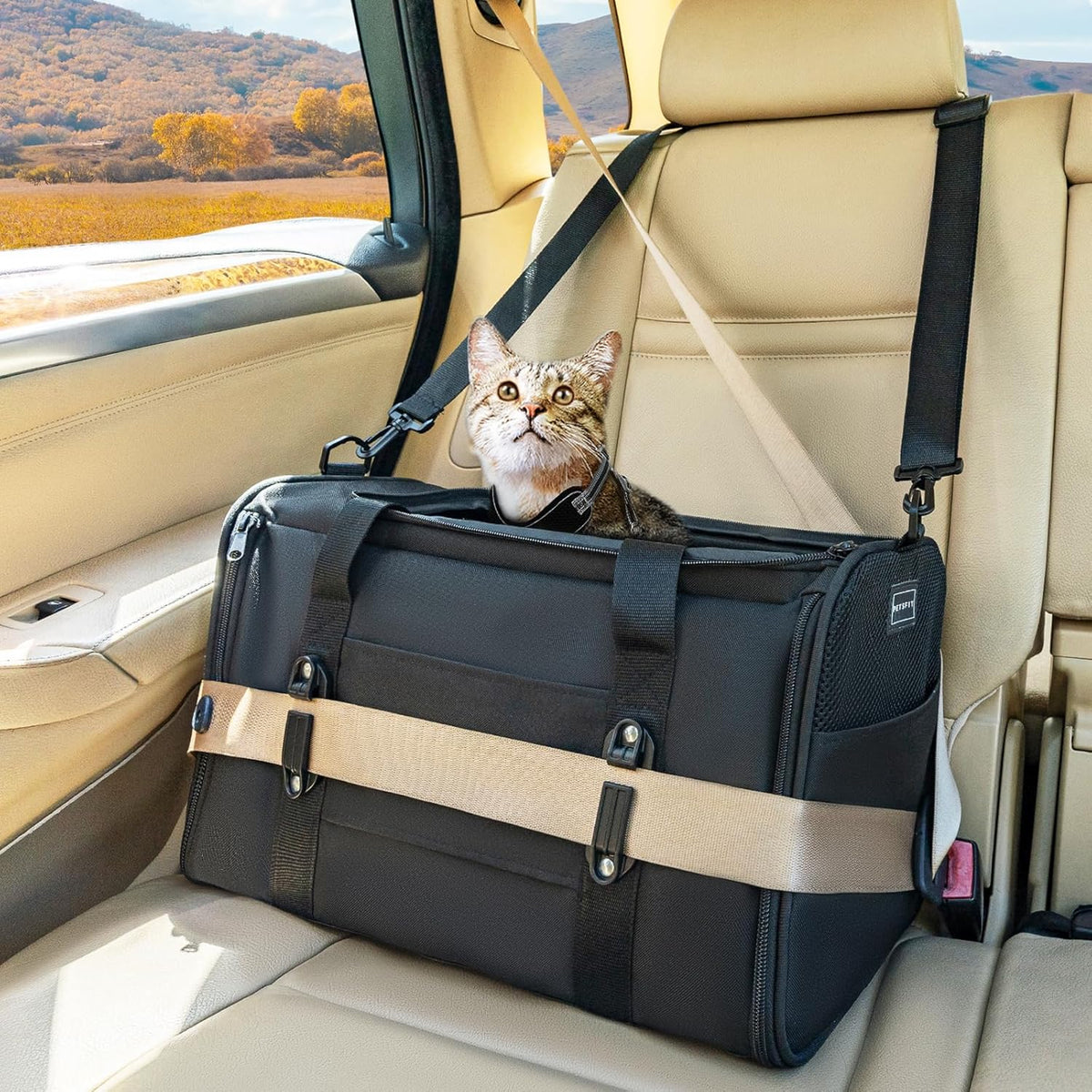 Soft-Sided Cat Carrier with Patented Safety Buckles