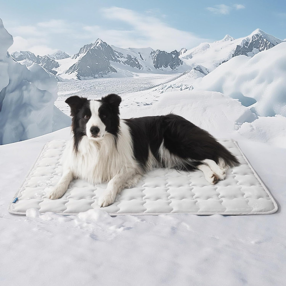 Bedsure Cooling Dog Mat Extra Large, Q-Max>0.5 XL Thin Breathable Cold Crate Pad for Pet, Portable Washable Kennel Bed for Summer Active Dog with Chill Soothing Fabric to Rapid Cooling, 41x28, Grey