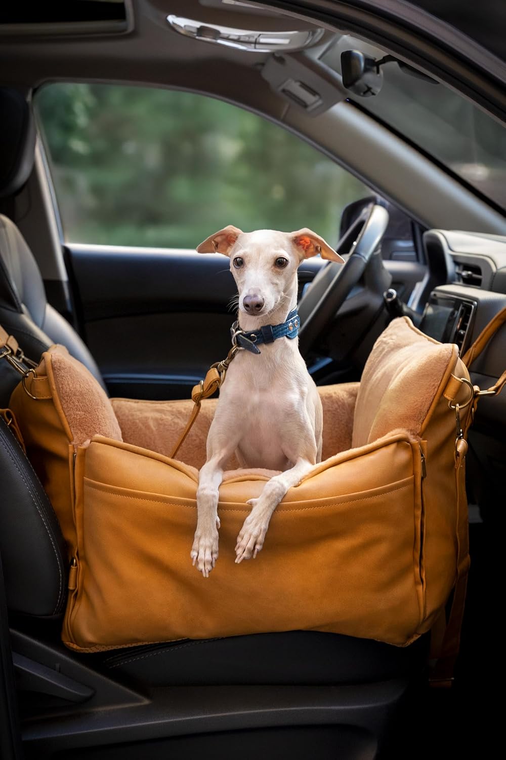 Dog Car Seat Carrier, Small Dog Car Seat for Small Medium