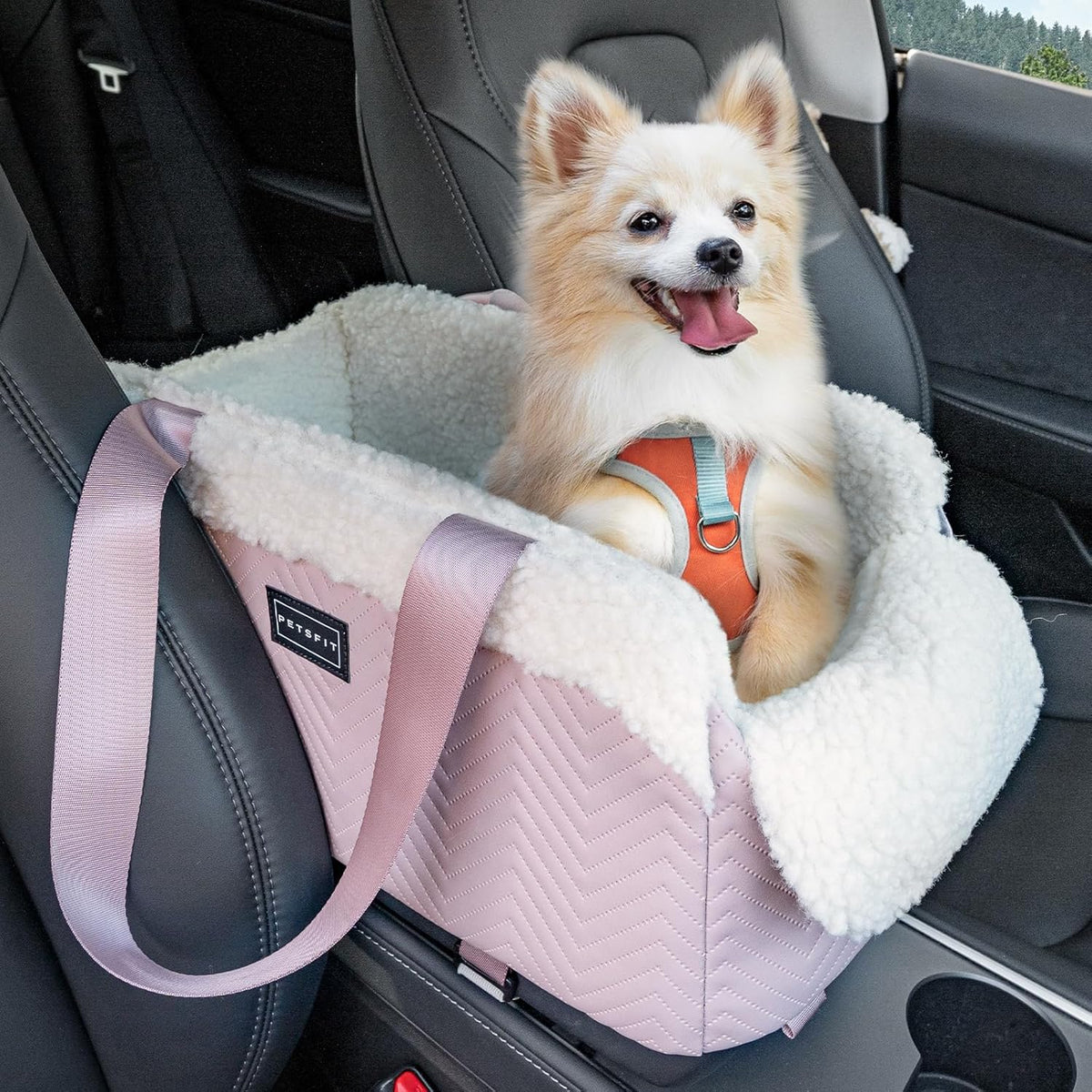Cat Car Seat, Portable Console Dog Car Seat with Safe