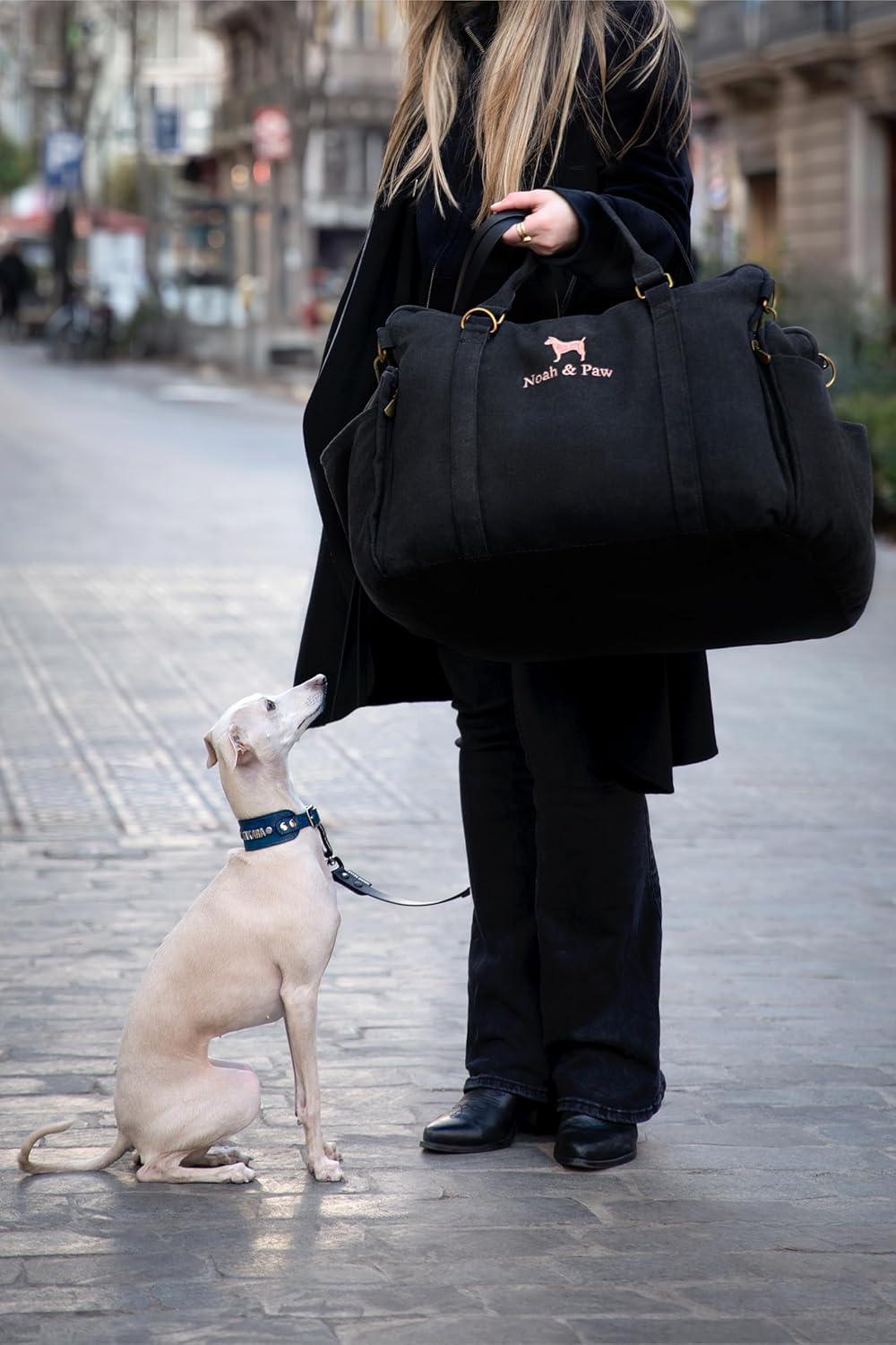 Dog Car Seat Carrier, Small Dog Car Seat for Small Medium