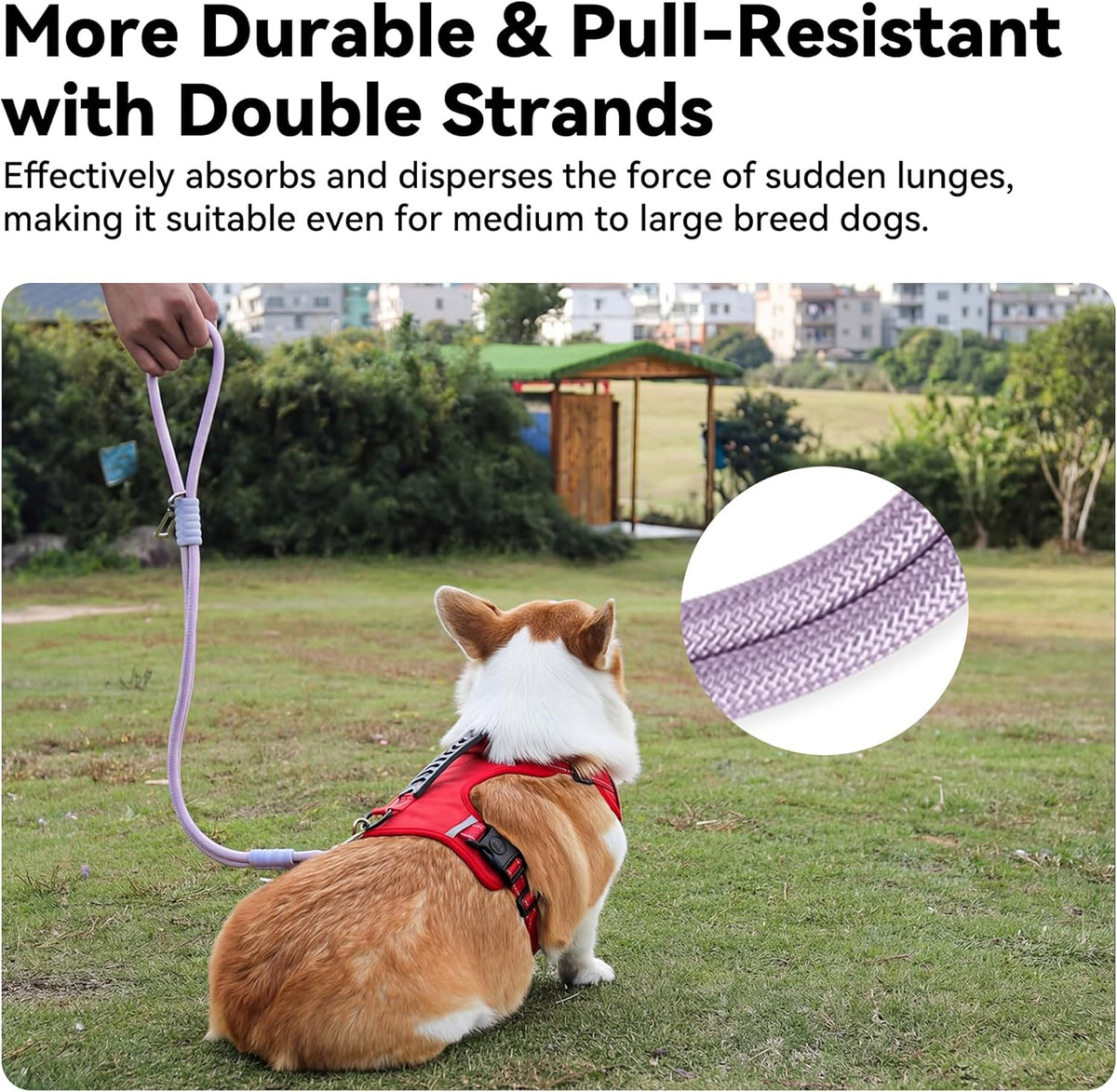 2-in-1 Dog Car Seatbelt Leash & Walking Lead - Heavy Duty