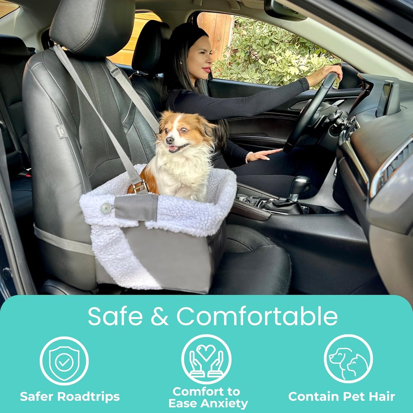 Blue Dog Booster Seat - Washable, Adjustable, Collapsible