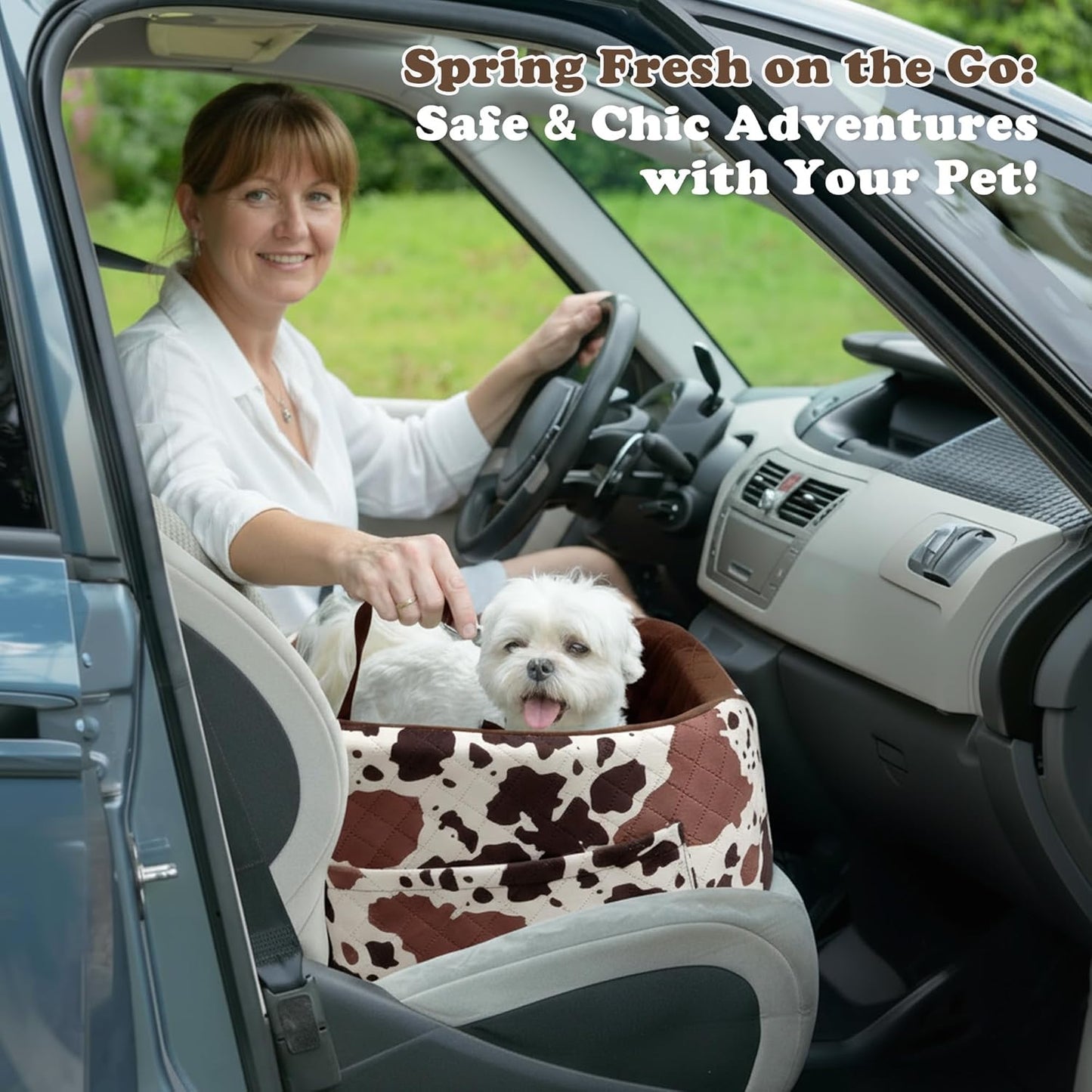 Dog Car Seat for Small & Medium Dogs - Crash-Protective