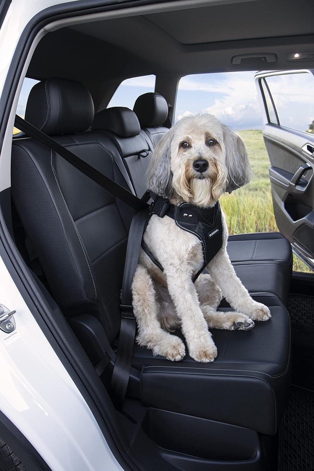 Multipurpose Seatbelt Dog Harness - Black