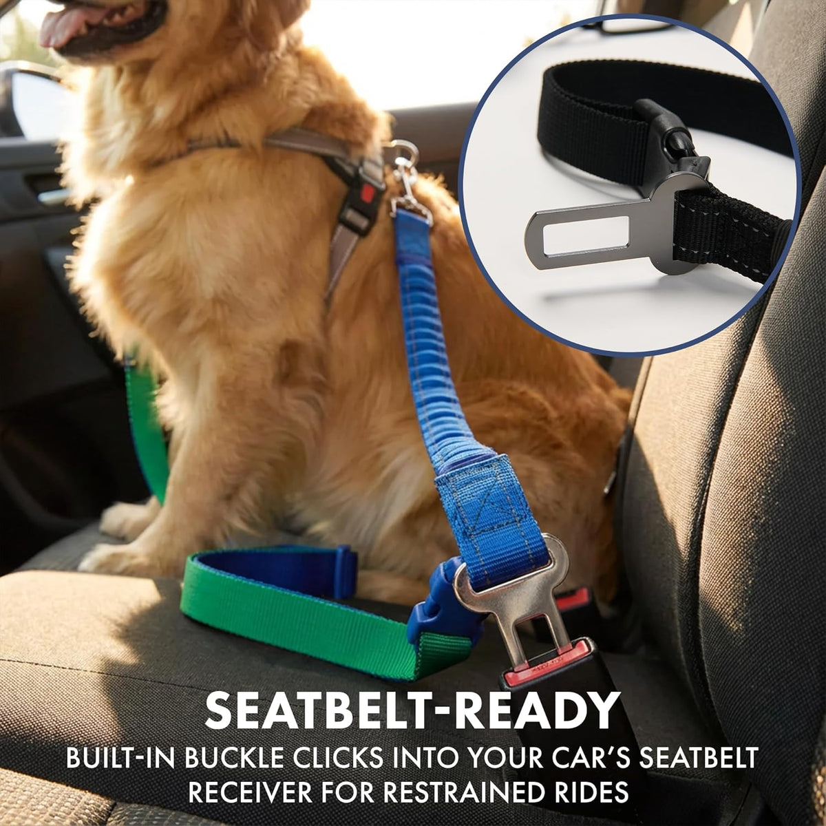 Handsfree Dog Leash – Shock Absorbing Waist Bungee Lead for