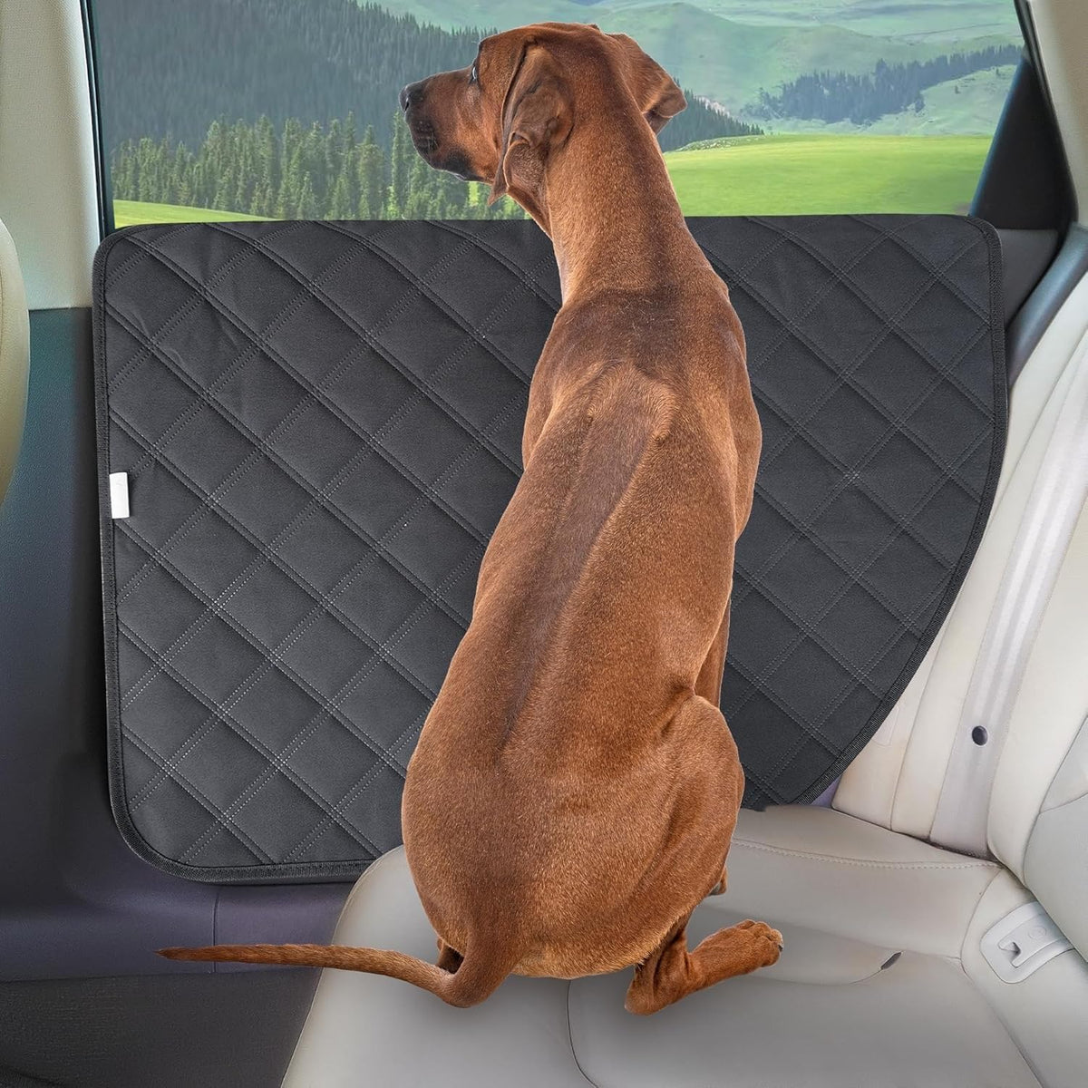 Dog Car Door Protector for Dodge Collar Caliber Journey