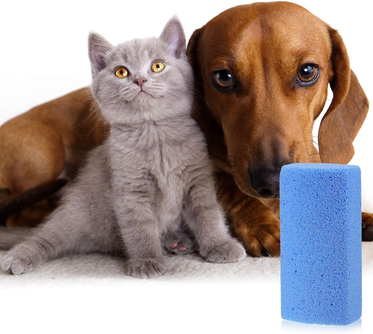 6 Pieces Pet Hair Remover for Dog Cat Pet Hair Stone