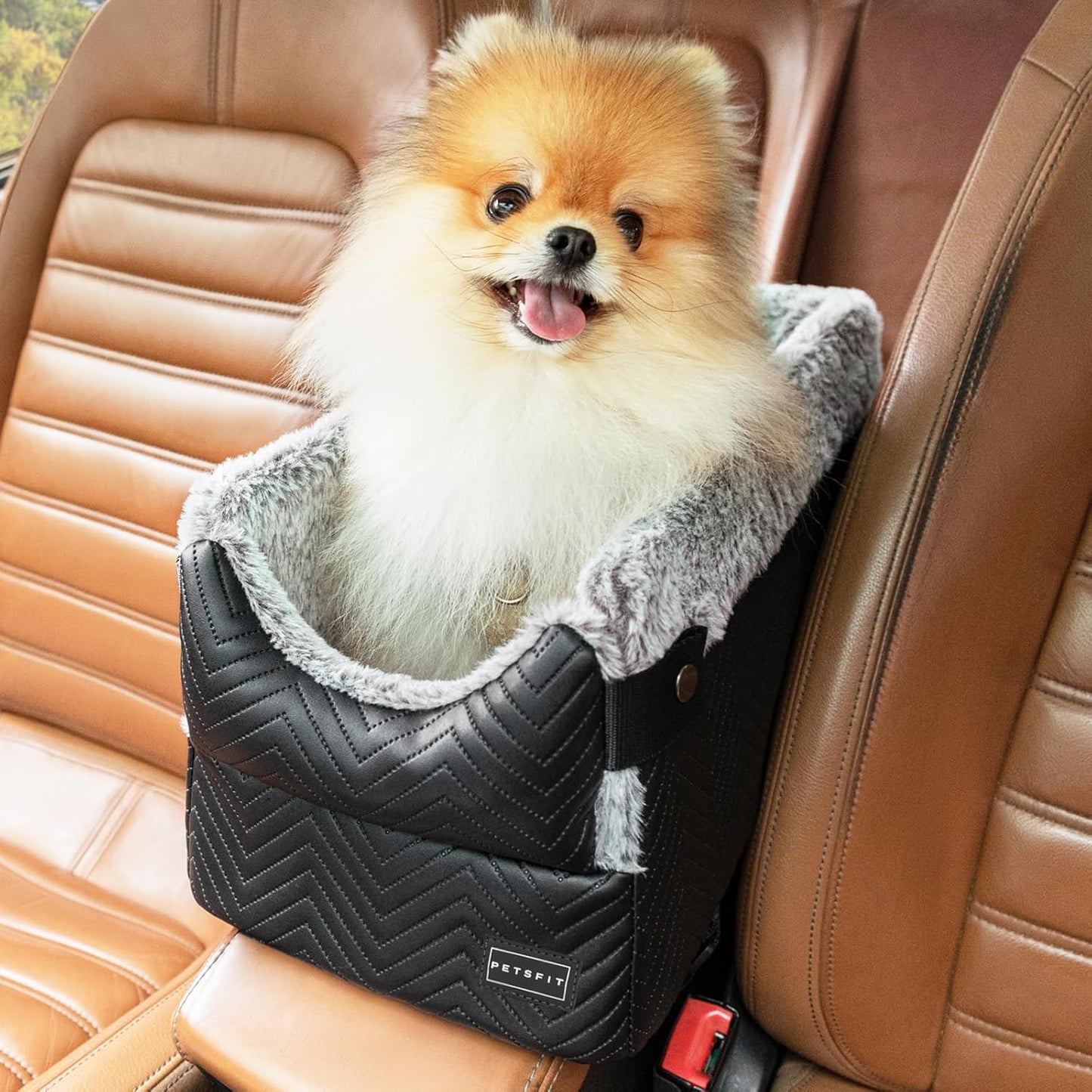 Center Console Dog Car Seat with Safe Protection Hooks, Pet
