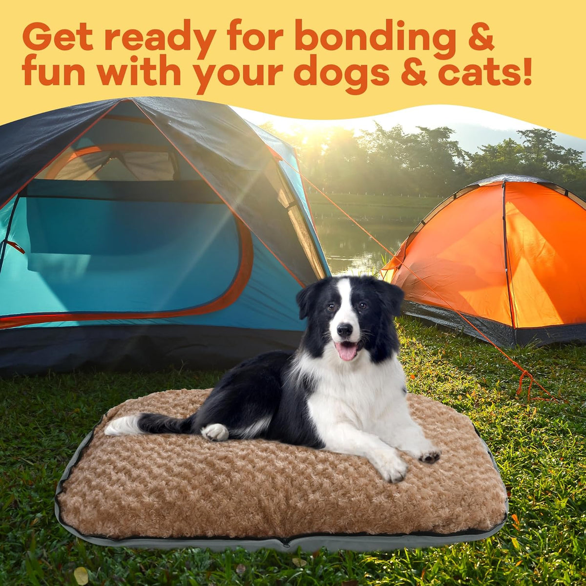 Foldable Travel Dog Bed, Outdoor Camping Dog Bag Bed Pet