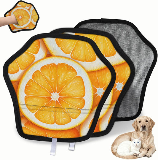 Citrus Fruits Orange 2Pcs Electrostatic Reusable Pet Hair